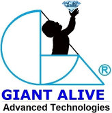 loan_giant_business_loans_money006045.jpg
